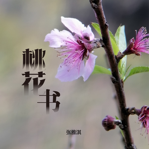 桃花书 - Single