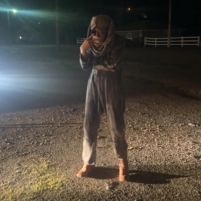 pretty (feat. lifelessgarments) - Single