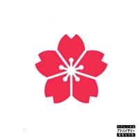 New Level - Single - Kento Kari