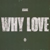 WHY LOVE