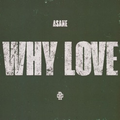 WHY LOVE cover art