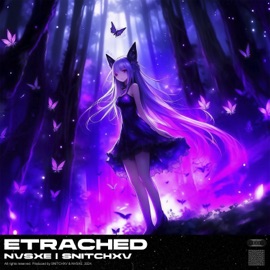 ETRACHED SNITCHXV & NVSXE