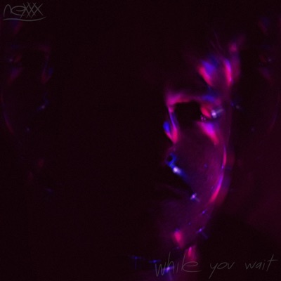 while you wait - Single
