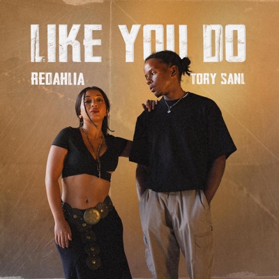 Like You Do - Single