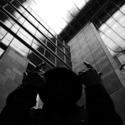 LE PHOENIX N'EXISTE PAS - Single