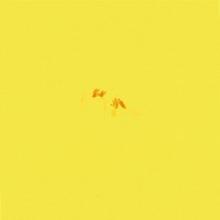 The Page (feat. Octave Lissner) [Live] - Single - Emergency Escape Plan