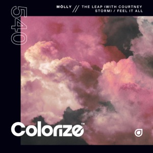 The Leap / Feel It All - EP