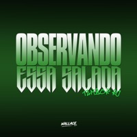 OBSERVANDO ESSA SALADA VS TAMBOR RJ - Single - Wallace DJ