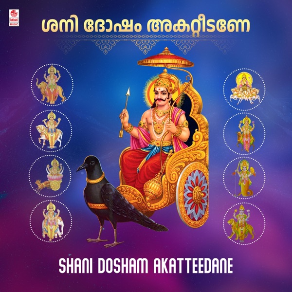 Shani Dosham Akatteedane - Single