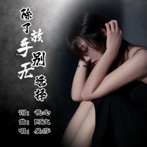 除了放手别无选择 (DJ版) - Single