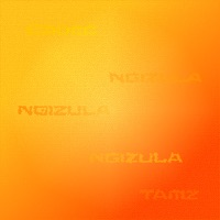 ngizula - Single - Codec & Tamz