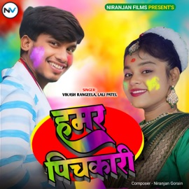 Hamar Pichkari Vikash Rangeela & Lali Patel