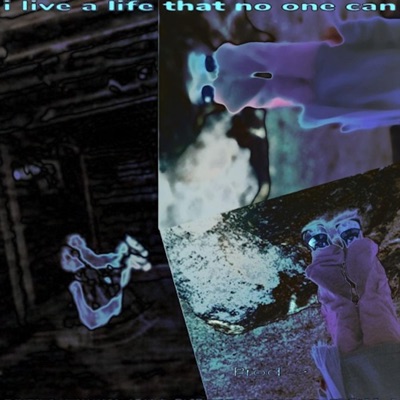 i live a life that no one can - Single