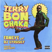 Terry Bonchaka (feat. DJ Vyrusky) - Single - Fameye