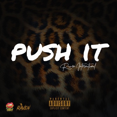 Push It - Single