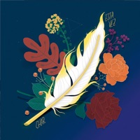 Esta Vez - Single - Char Belajuán