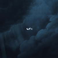 Goodbye Baby - Scela