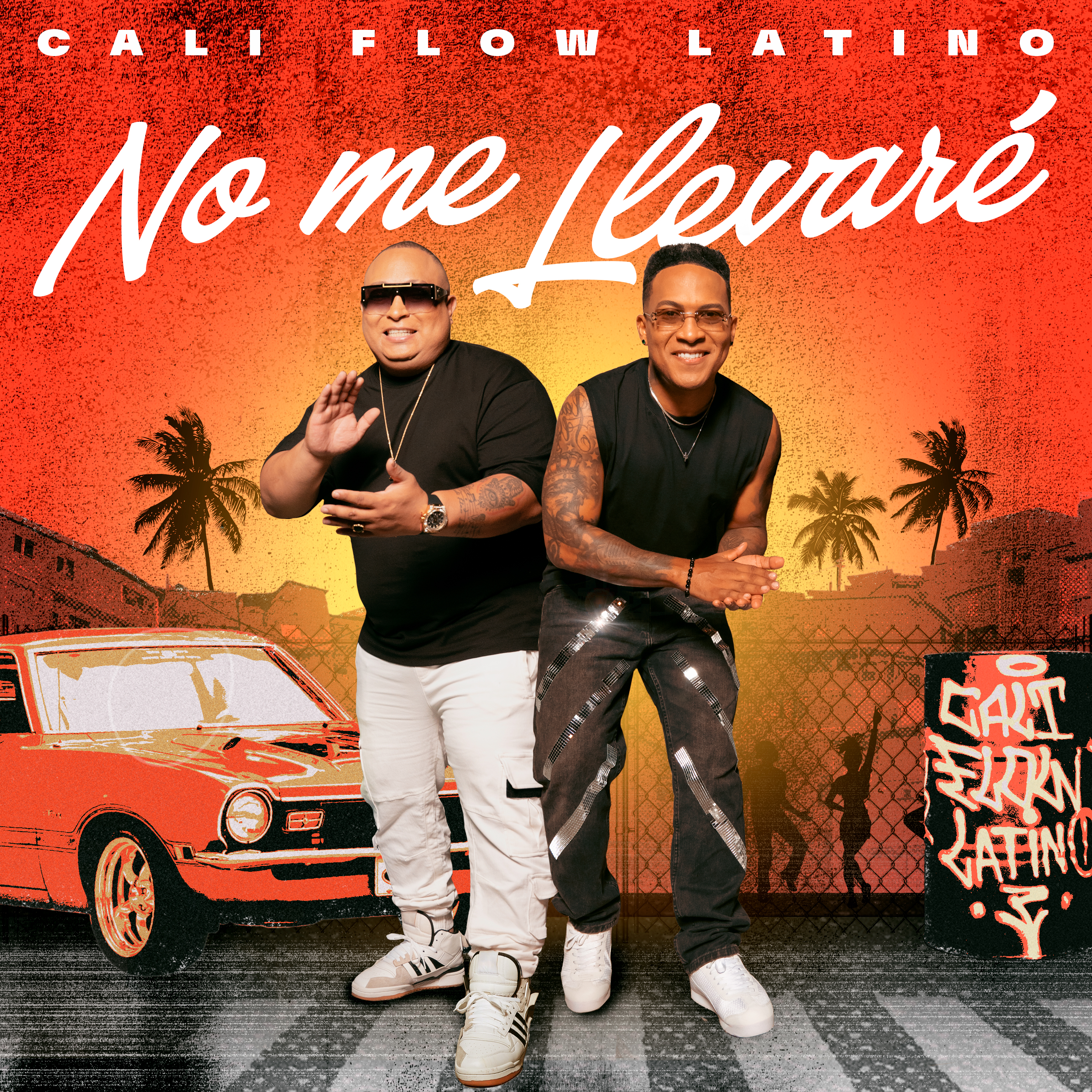 No Me Llevaré - Single