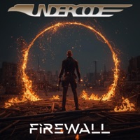 Firewall - Single - Undercode
