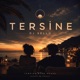 TERSİNE