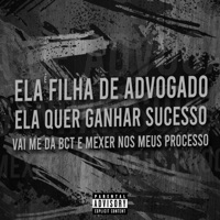 Ela É Filha de Advogado, Ela Quer Ganhar Sucesso, Vai Me da Bct e Mexer nos Meus Processo - Single - Dj Vinicin do Concórdia, MC LORIN DA ZL, MC LEOZIN DA SERRA & MC HN