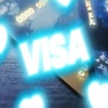 Visa - Single