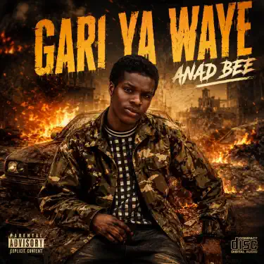 GARI YA WAYE (soldiers)