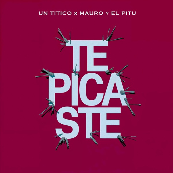 TE PICASTE