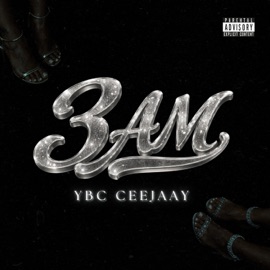 Slut Zone (feat. Drip YBC, Leeky2x & Big Eph) YBC Ceejaay