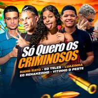 Só Quero os Criminoso (feat. É O Teles & Mano Rato) - Single - Vitinho o Peste, Mc Luazinha & Eo Renanzinho