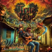 True Love (feat. Big Mountain) artwork