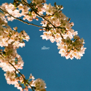 Alive - itsmync
