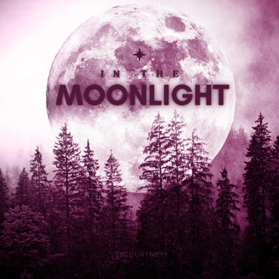In The Moonlight - Single