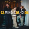Camino con Dios (REMIX) - Single