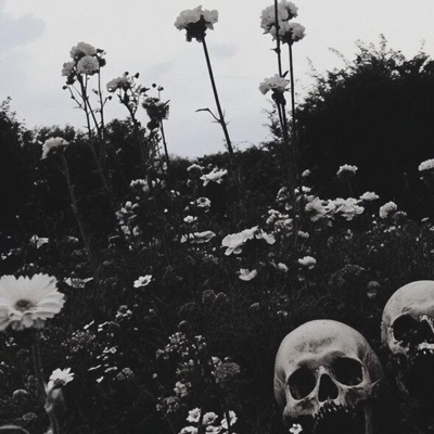 WORKING ON DYING - Single