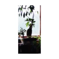 Sometimes - Single - TEC636