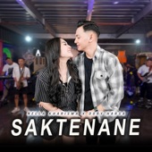 Saktenane artwork