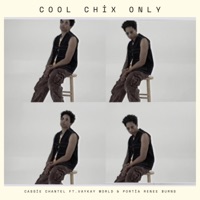 Cool Chix Only (feat. Vaykay World & Portia Reneé Burns) - Single - Cassie Chantel