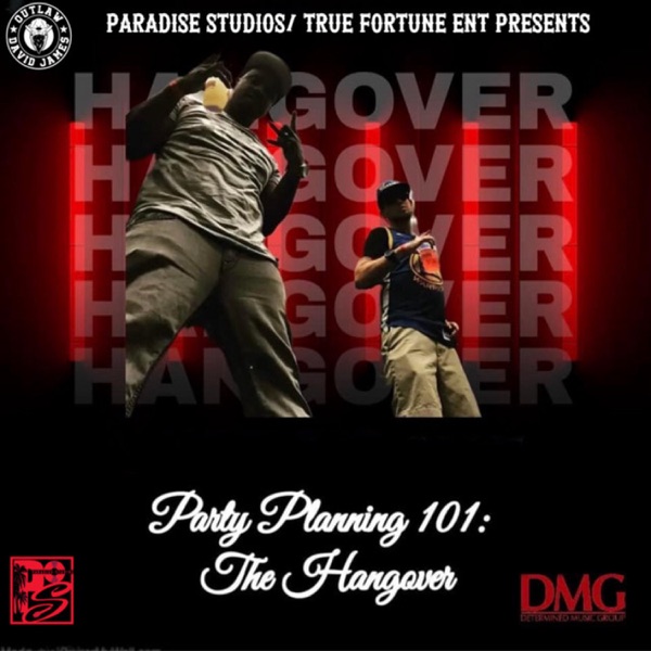 Party Planning101: The Hangover