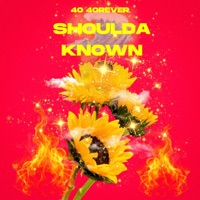 Shoulda Known (feat. Chanda) - Single - 40 40rever