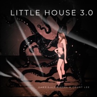 LITTLE HOUSE 3.0 (feat. Court Lee) - Single - Gabrielle Riegel