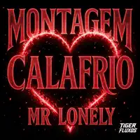 MONTAGEM CALAFRIO MR LONELY — DJ VT AGUILAR, Vulgo FK & DJ KN DE VILA VELHA