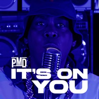 It's on You - Single - PMD