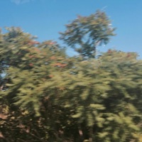 Ridiculous - Single - butifulmonster