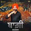 Baaghi (feat. Garry Brar Zaildaar) - Single