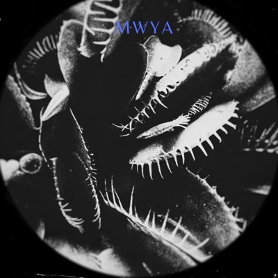 MWYA - Single