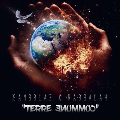 Terre commune (feat. Rabsalah) - Single