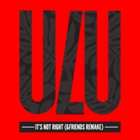 It's Not Right (&friends Remake) [feat. Helen Tesfazghi] [Radio Edit]