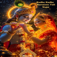 Radhe Radhe Barsane Vali - Single - Wajid