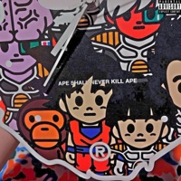 Apeshit - Single - Nobodyknowstiji